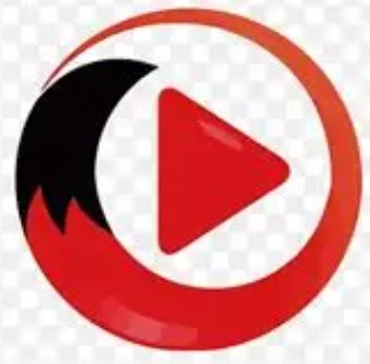 华人影视Logo